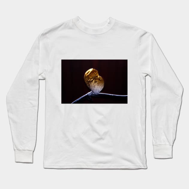 Golden Leaf Pothos Long Sleeve T-Shirt by mavicfe